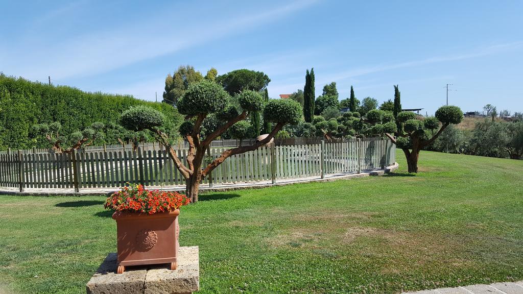 Aquilamaior Tragliata Luaran gambar