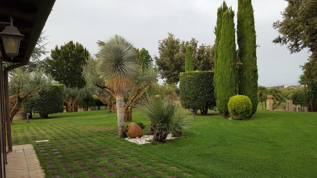 Aquilamaior Tragliata Luaran gambar