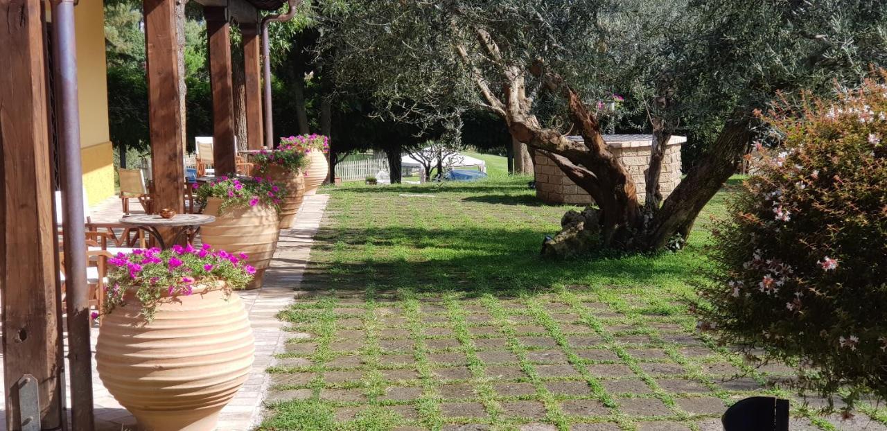 Aquilamaior Tragliata Luaran gambar