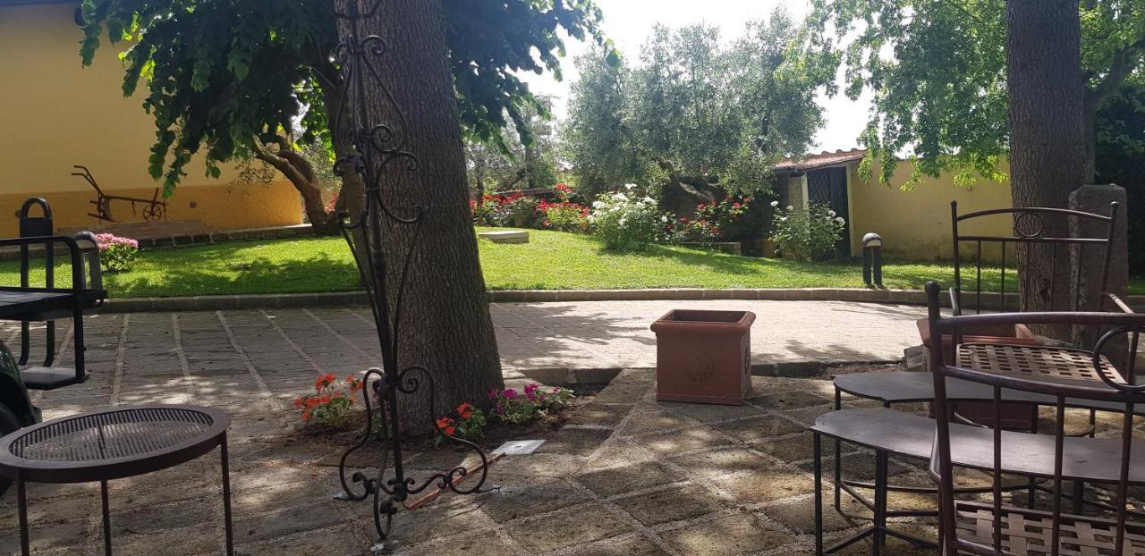 Aquilamaior Tragliata Luaran gambar