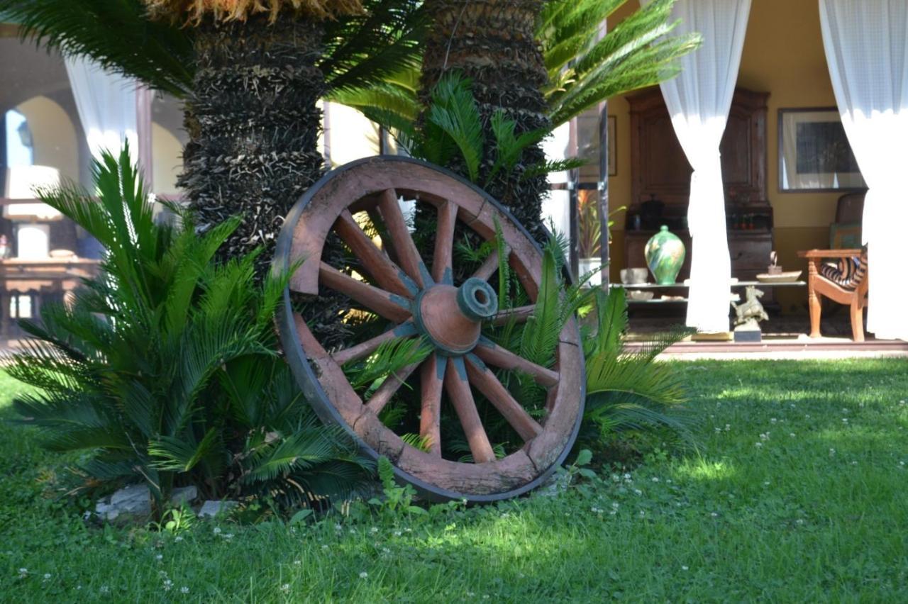 Aquilamaior Tragliata Luaran gambar